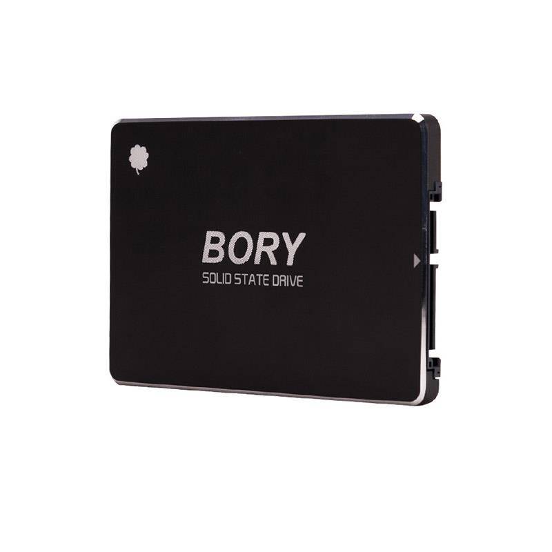 1 TB BORY SATA3 R500-C1T SSD 550510 MBS (3 YIL GARANTİLİ) - 5