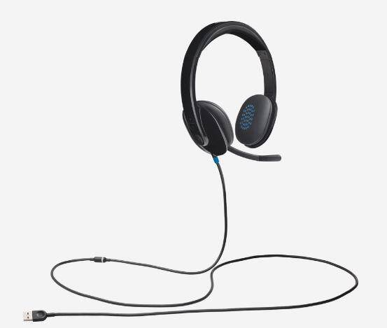 LOGITECH H540 USB SİYAH KULAKLIK 981-000480 - 2
