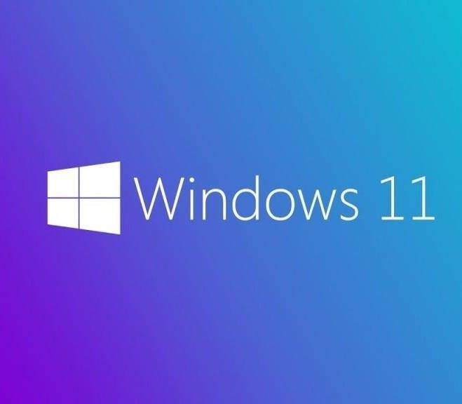 MS WINDOWS 11 PRO 64 BIT TURKCE OEM FQC-10556 - 3